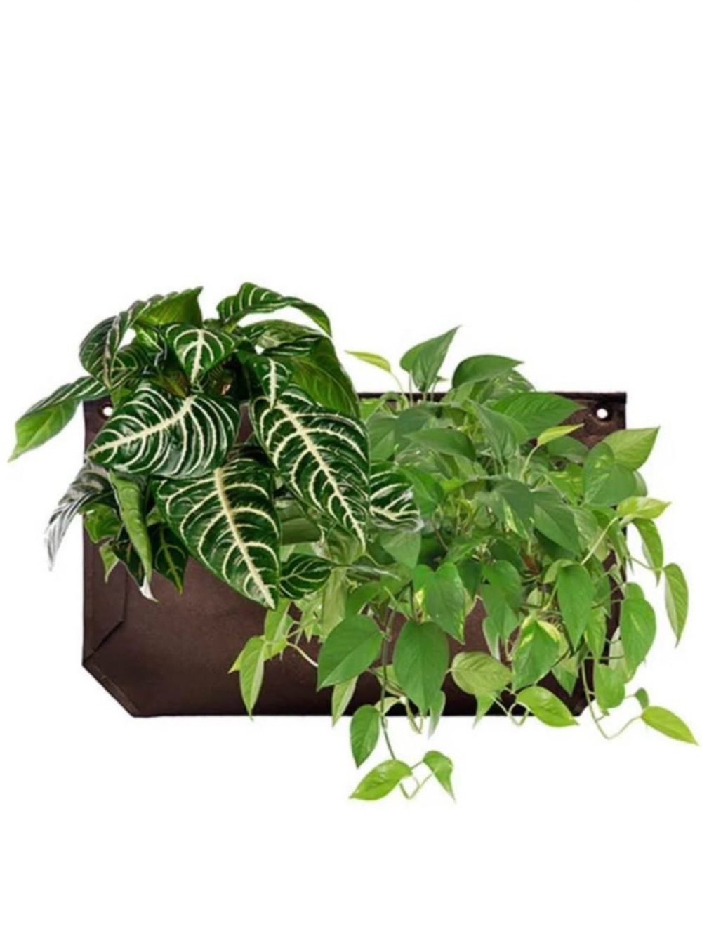 WallyGrow Pocket Wall Planter - Dark Brown 3 available 1 new/unused